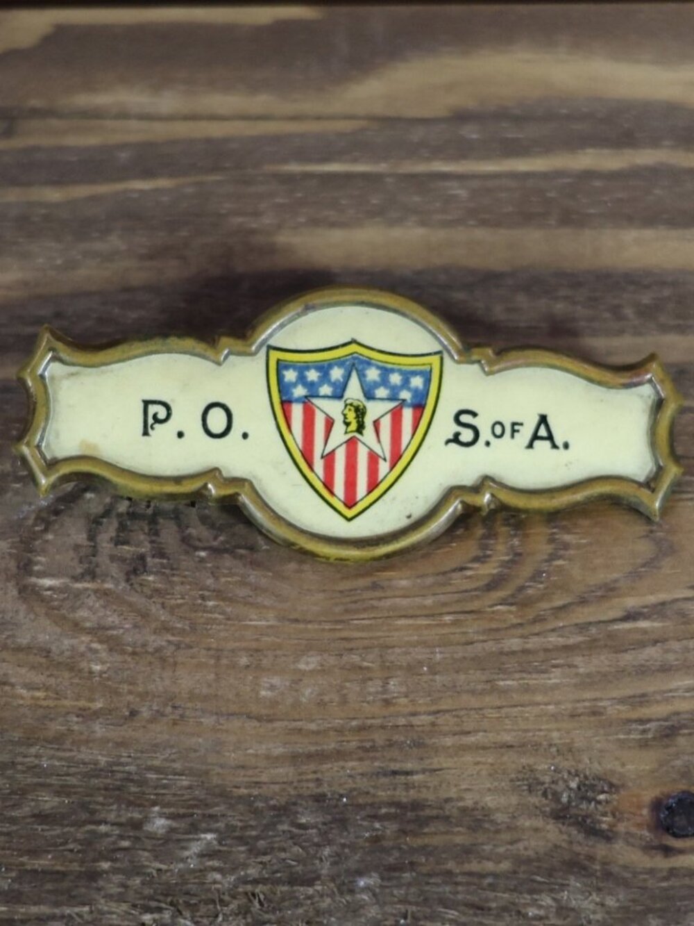 antique patriotic order sons of America w/ celluloid pin